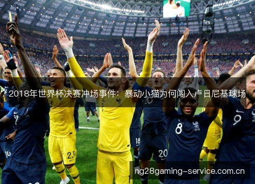 2018年世界杯决赛冲场事件：暴动小猫为何闯入卢日尼基球场
